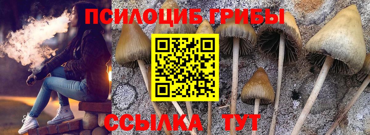 Благодарный  Псилоцибиновые грибы Cubensis  Вход с VPN 